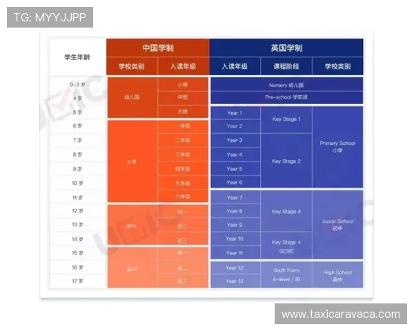 世界杯伊朗对新西兰比赛赔率分析，专家为您提供最新数据与投注建议